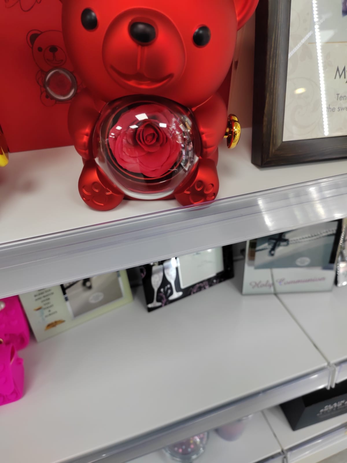 ring bear/jewellery box